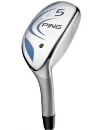 Hybride Ping G5 Gaucher